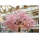 Celebrate Spring at the National Cherry Blossom Festival in Washington DC