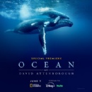 If We Save the Sea, We Save Our World