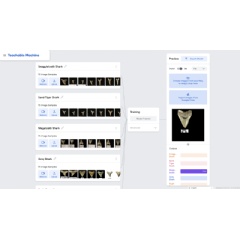 Image showing the Google Teachable Machine model built to identify fossils. Students use this free, online machine learning tool to create their own models to classify fossil shark teeth.