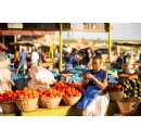 Progress closing the mobile internet gender gap stalls in LMICs: GSMA Mobile Gender Gap Report 2025