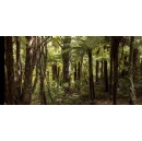 Every corner counts: Air New Zealand invests $1.2 million to support over 100 community nature projects