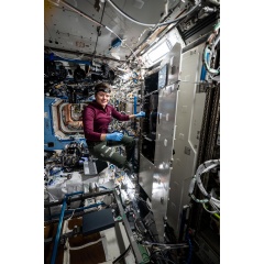 NASA astronaut Engineer Anne McClain works inside the Destiny laboratory module’s Materials Science Research Rack and swaps filters inside the Kermit microscope used to conduct biological, physical, and materials science research.
NASA