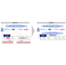 Japans Telecommunications Carriers Strengthen Disaster Response Through Collaborative Information Sharing