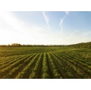 Transformation to a healthy food system is blocked by three key barriers