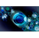 How to more efficiently study complex treatment interactions