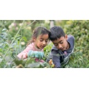 Seeds sown to bring nature closer to 10 million people across the UK in the next 10 years