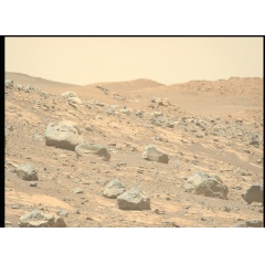 NASA’s Mars Perseverance rover acquired this image of the boulders along the contact at Westport, using its Mastcam-Z Left Camera, one of a pair of cameras located high on the rover’s mast.
NASA/JPL-Caltech/ASU