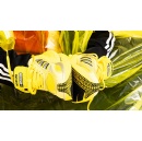 adidas Originals Debuts adiZero Goukana: Street Silhouette Powered by Championship Marathon Technology