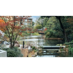 Experience Kyoto in full autumn splendour