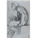 The Carracci drawings
