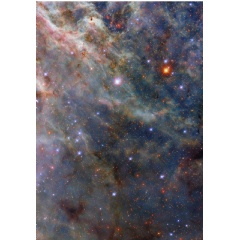 This NASA/ESA Hubble Space Telescope image shows a portion of the Tarantula Nebula.
ESA/Hubble & NASA, C. Murray