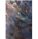 Hubble Captures a Tarantula