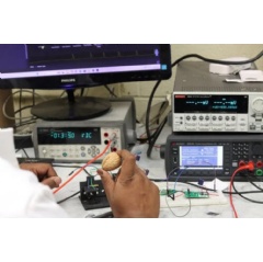 Waterloo researchers developed a coin-sized device that can generate electricity as water evaporates from a complex network of pores that make up a walnut shell structure. (University of Waterloo)