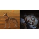 World Premiere of Vancouver filmmaker Wahid Ibn Rezas NFB animated short After Us coming to SPARK. Festival will also present the BC premiere of Chris Lavis and Maciek Szczerbowskis The Girl Who Cried Pearls