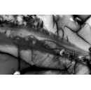 MIT geologists discover where energy goes during an earthquake