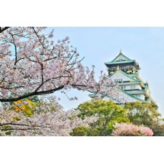 Osaka Rises as the Top Choice for Chinese Travelers Celebrating Golden Week, Agoda Reports