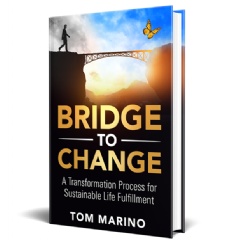 Bridge to Change by Tom Marino
