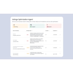Birdeye Listings Optimization Agent