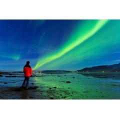Northern Lights Reykjavik