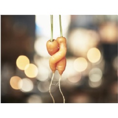 Food is Precious