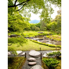 Murin-an garden, Kyoto (Summer)