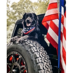 For the third consecutive year, Autotrader is honoring the 2021 Jeep Wrangler and the 2021 Chrysler Pacifica on its list of 10 Best Cars for Dog Lovers...(See Complete caption below)
