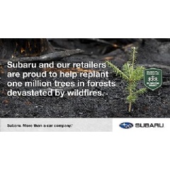 Subaru and our retailers are proud to help replant one million trees in forests devastated by wildfires.