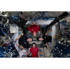 Expedition 67 Flight Engineers (clockwise from bottom) Jessica Watkins, Kjell Lindgren, and Bob Hines, all from NASA, and Samantha Cristoforetti of ESA (European Space Agency). (see complete caption below)