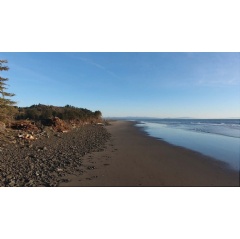 Drone footage of North Cove, Washington, monitoring the success of a shoreline stabilization project. (Preston Martin, NewFields)