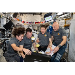 Crew members aboard the International Space Station unpack newly delivered fresh fruit and other goodies in October 2019. (see complete caption below)