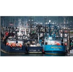 Working waterfronts such as this one in Homer, Alaska, are home to commercial fishing vessels. (Image credit: iStock)