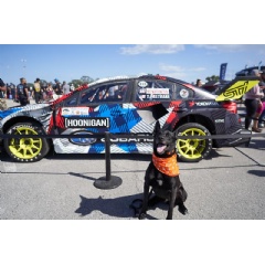 SubieEvents presented by Subaru of America, Inc. welcome enthusiasts as well as their pets to events showcasing Subaru Motorsports USA vehicles and more.