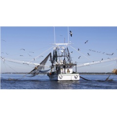 Gulf Coast Shrimping boat off Biloxi/Ocean Springs Coast, Mississippi.  (Image credit: Getty Images)
