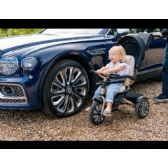 Mulliner Trike