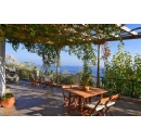 Living like a centenarian: Airbnbs most wishlisted Blue Zone listings