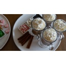Lasting Holiday Memories Are Made with the Santa Suite Experience at Four Seasons Hotel St. Louis