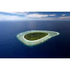 Photo: Greenpeace