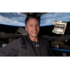 NASA astronaut and Expedition 72 Flight Engineer Nick Hague in the space station cupola. (Credit: NASA)