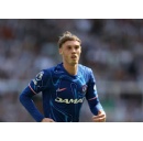 Cole Palmer nominated for Premier League annual award