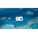 Novotel Celebrates One Year of Ocean Commitment and Sustainable Partnership with WWF