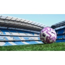 Have a Ball  PUMA Unveils the New Official Premier League Match Ball