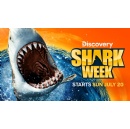 Discoverys Shark Week Returns Sunday, July 20 at 8PM Et/Pt with Action-Packed, Must-See Nightly Programming