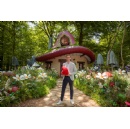 Experience a day in the life of a Smurf in the magical Belgian woods