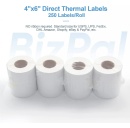 BizPal Introduces New Direct Thermal Roll Label Products
