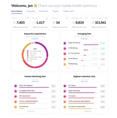 Vibes provides a comprehensive, real-time mobile marketing program, all in one control center.