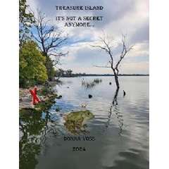 Donna Voss Brings Enchanting Childrens Tale Treasure Island: Its Not a Secret Anymore to Global Stage