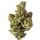 Exhale Wellness Recognized as Top #1. THCA Flower Vendor by Arizona Digital Free Press