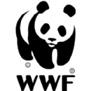 Meet WWFs new Chief Conservation Officer - Daudi Sumba