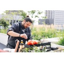 Minnesotas Rising Culinary Stars Prepare Dishes Showcasing Their Culture and Craftsmanship on the Rooftop of Four Seasons Hotel Minneapolis